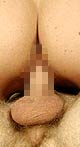 Zum Download